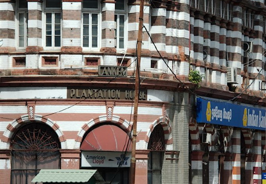DSC 4842
