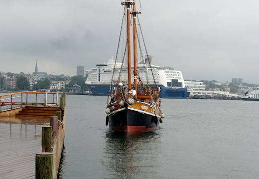DSC 5354
