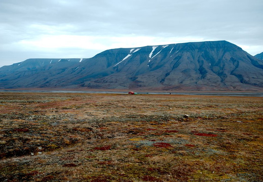 DSC 5366