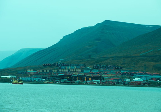 DSC 5377