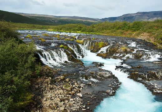 DSC 3264