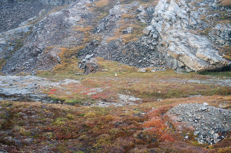 DSCF2254.jpg