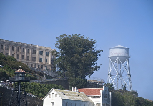 DSC 20240912-006
