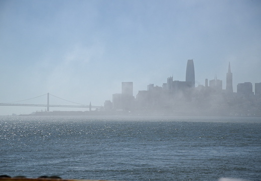 DSC 20240912-008