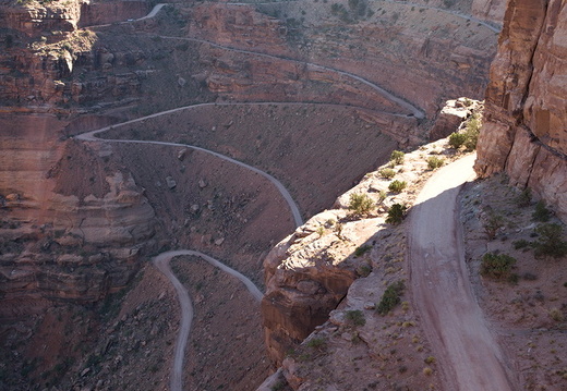 DSC 20241003-023