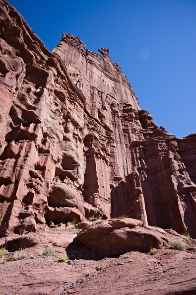 DSC_20241004-006.jpg