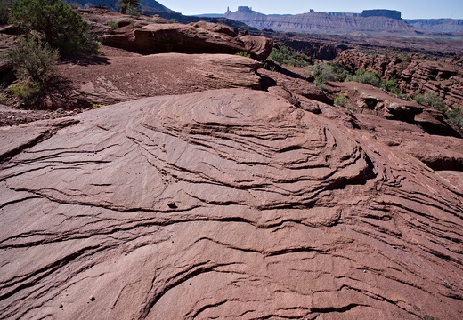 DSC 20241004-007